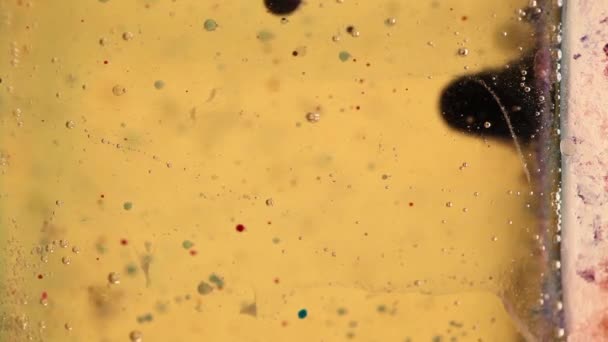 Sprudelnde Mischung aus Öl, Wasser und farbenfroher Tinte — Stockvideo