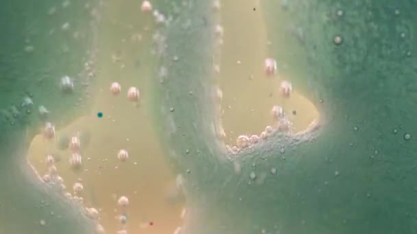 오일, 물, 다채로운 잉크의 발포 성 혼합 — 비디오