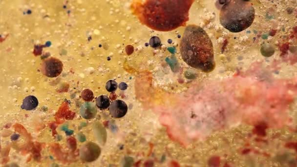 Déplacement de l'eau, de l'huile et du mélange d'encre. Couleurs et mouvement uniques. Concept de pollution — Video