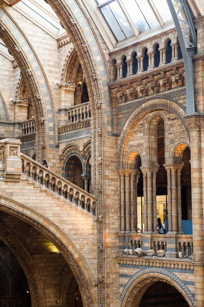 Musée d'histoire naturelle à Londres — Photo