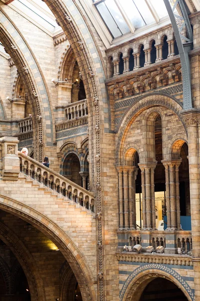 Musée d'histoire naturelle à Londres — Photo