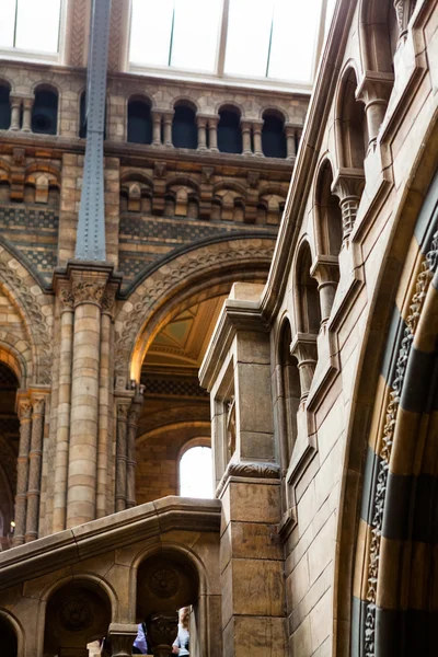 Natural History Museum in London — Stock Photo, Image