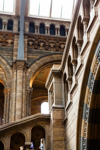 Londra 'daki Doğa Tarihi Müzesi — Stok fotoğraf