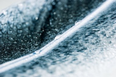 Renkli tavuk tüy ve su damla ile soyut kompozisyon