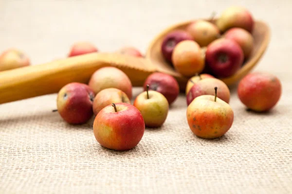 Pequeñas manzanas rojas y una enorme cuchara de madera con textura de arpillera en el fondo —  Fotos de Stock