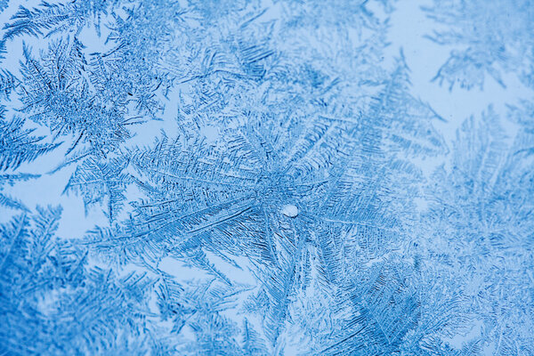 Цветы льда на стекле
