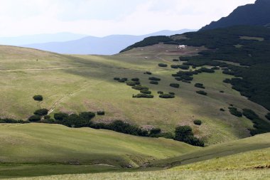 Romanya 'daki Güney Karpatlar' ın bir parçası olan Bucegi Dağları 'ndan manzara