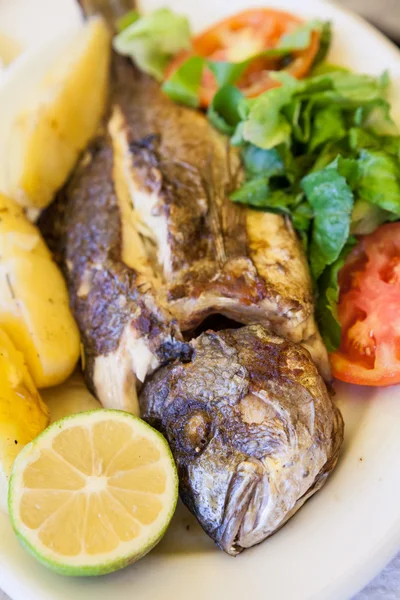 Gegrilde zeebrasem met poatatoes, tomaten en citroen — Stockfoto