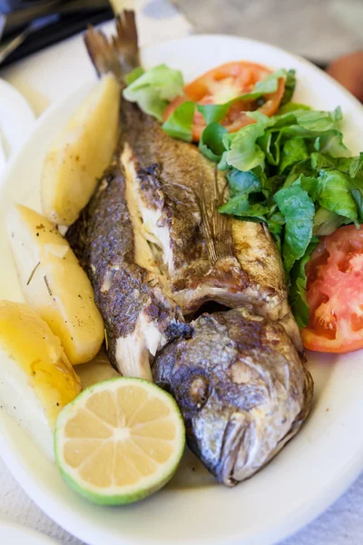 Grilled sea bream with poatatoes, tomatoes and lemon — Stock Photo, Image