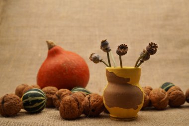 Güzel turuncu kabak ile kompozisyon