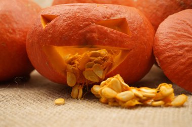 Güzel turuncu kabak ile kompozisyon