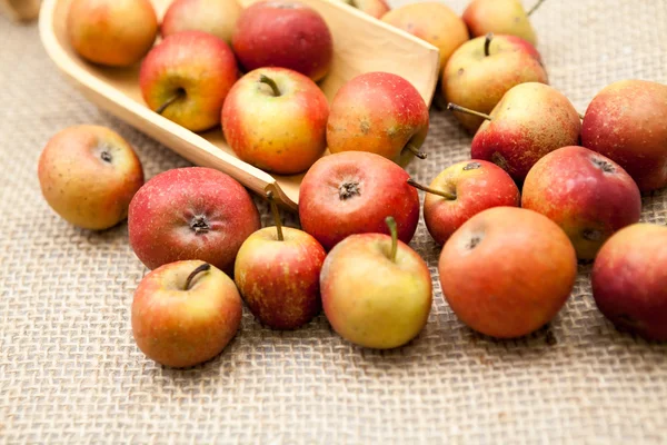 Pequeñas manzanas rojas con textura de arpillera en el fondo —  Fotos de Stock