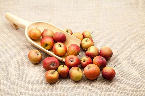 Pequeñas manzanas rojas con textura de arpillera en el fondo —  Fotos de Stock