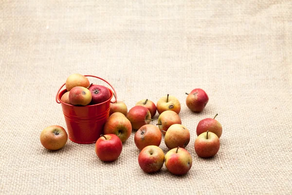 Small, red apples with burlap texture in the background — Stock Photo, Image