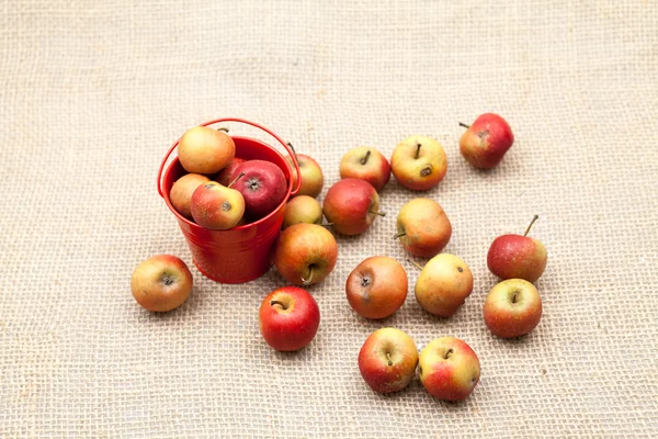 Pequeñas manzanas rojas con textura de arpillera en el fondo —  Fotos de Stock