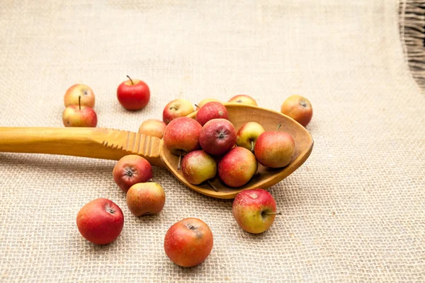 Pequeñas manzanas rojas y una enorme cuchara de madera con textura de arpillera en el fondo —  Fotos de Stock
