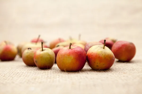 Small, red apples with burlap texture in the background — Stock Photo, Image