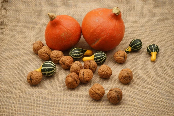 Composición con hermosas calabazas naranjas —  Fotos de Stock