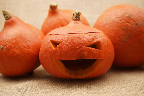 Samenstelling met prachtige oranje pompoenen — Stockfoto