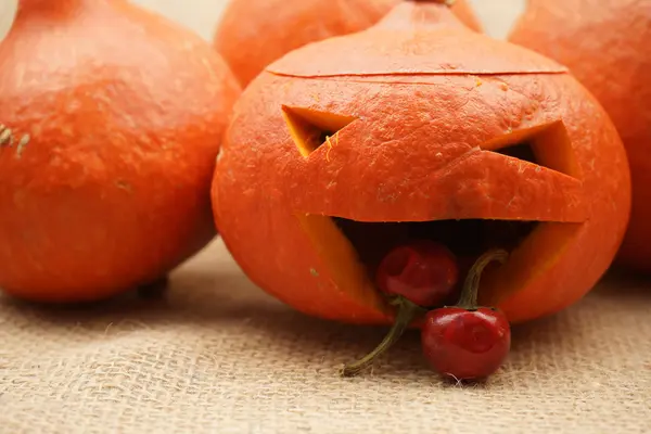 Samenstelling met prachtige oranje pompoenen — Stockfoto