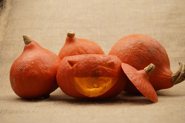Samenstelling met prachtige oranje pompoenen — Stockfoto