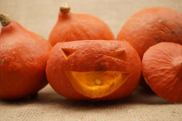 Samenstelling met prachtige oranje pompoenen — Stockfoto