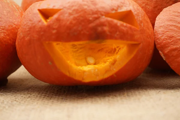 Samenstelling met prachtige oranje pompoenen — Stockfoto