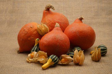 Güzel turuncu kabak ile kompozisyon