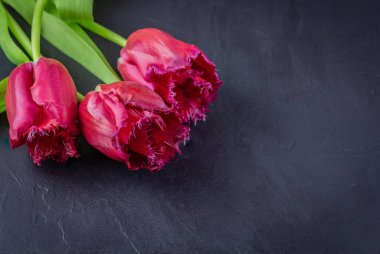 Kırmızı gelincikler siyah arka planda yatar.