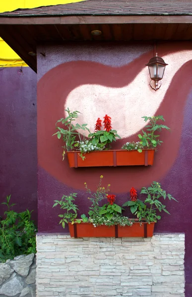 The boxes with flowers on the wall of the facade