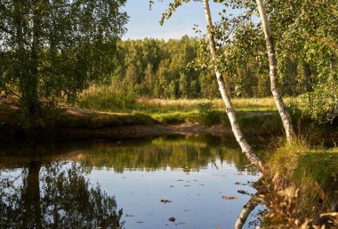 Açık bir sonbahar gününde orman gölü, sudaki ağaçların yansımaları, arka plandaki orman.