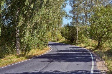 Açık ve sıcak bir yaz gününde ağaçların arka planına karşı temiz düz bir yol.