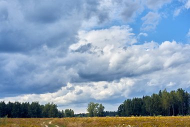 Orman ve tarlaların üzerinde uçsuz bucaksız bulutlarda yaz gökyüzü