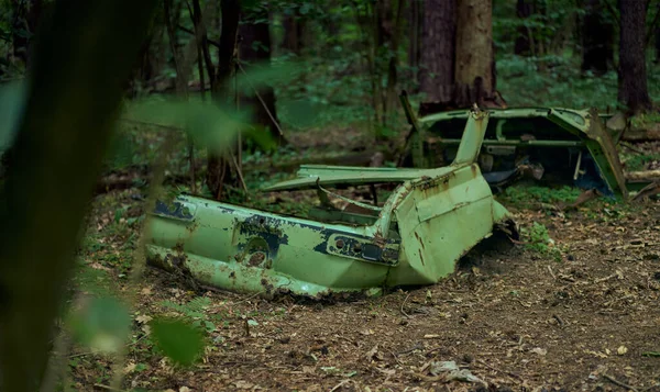 Rotten body from a green car in the forest