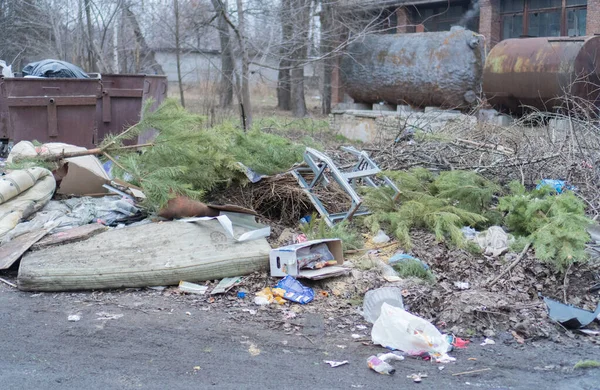 쓰레기통에 버려져 지거나 전나무는 쓰레기 트럭이 수집하기를 기다린다 자연을 무책임 — 스톡 사진