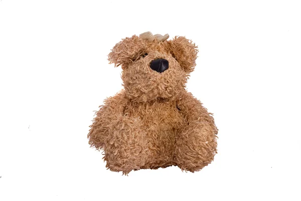 Urso marrom brinquedo macio — Fotografia de Stock