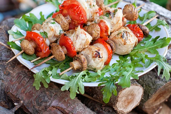 Chicken kebabs with vegetables — Stock Photo, Image