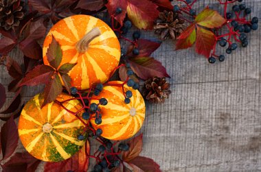 Kabaklar ahşap tahta üzerinde yabani üzüm ile