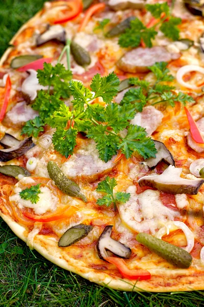 Pizza on a background of green grass — Stock Photo, Image