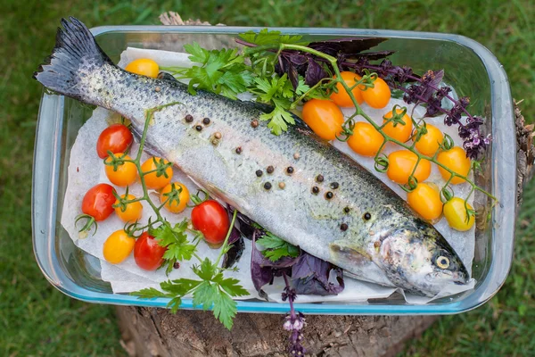 Färska öring med grönsaker — Stockfoto