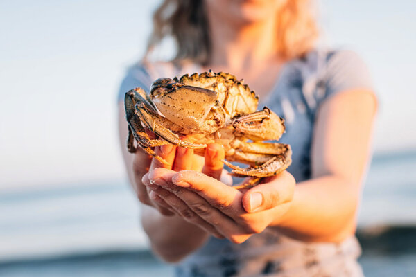 Live crab in female hands