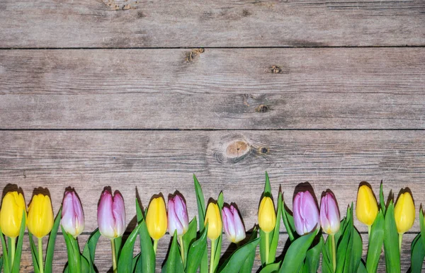 Tavolo Legno Con Tulipani Gialli Viola — Foto Stock