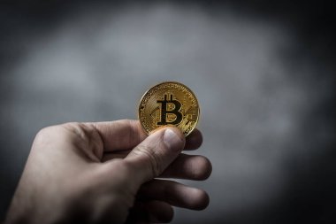 Bir elde kripto para birimi