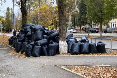Sonbahar yapraklarıyla dolu siyah plastik torbalar. Şehir sokaklarının yapraklarından mevsimsel olarak temizlenmesi. Dünyayı çürümüş yapraklardan temizliyorum. Temizlik servisi. Volgodonsk, Rusya 29 Ekim 2020