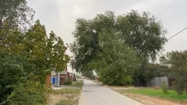 Bäume flattern bei starkem Wind. Staubsturm und schlechtes Wetter an einem bewölkten Herbsttag. Pflanzen verbiegen sich unter dem Hurrikan. Sturmwind in der Region Rostow im russischen Wolgodonsk. Zeitlupenvideo. — Stockvideo