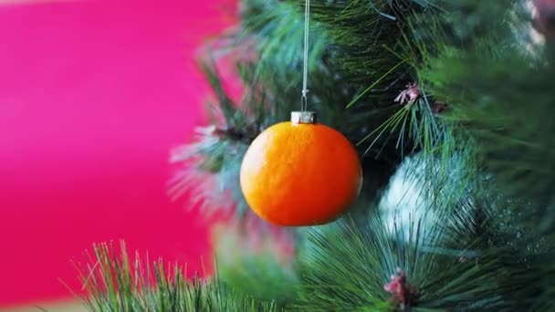 Concerto di Natale vegano. L'albero è decorato con frutta fresca. Mandarino crudo su ramo di un pino su uno sfondo rosso. L'idea di minimalismo e celebrazione eco-friendly senza sprechi. Copia spazio — Video Stock