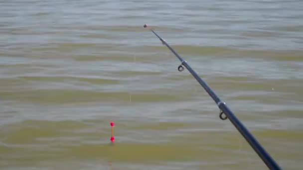 用钓竿钓鱼 钓丝上挂着鱼钩的浮在水面上 波浪摇曳 从船上看 鱼的饵 夏天的早上去接男人的业余爱好 — 图库视频影像