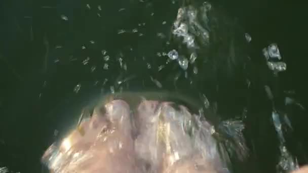 여름날 여행하는 여자의 강으로 씻는다 클로즈업 휴식의 바다에서의 태양에서 조금씩 — 비디오