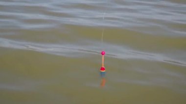 Oltayla balık avlamak. Oltayla balık oltasıyla yüzer suyun yüzeyinde yüzer ve dalgalarda salınır. Yakından bak. Balıklar için yem. Yaz sabahına yetiş. Erkek hobisi, eğlence, eğlence..