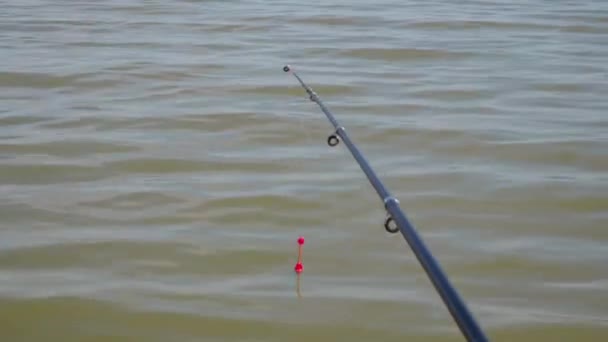 用钓竿钓鱼 钓丝上挂着鱼钩的浮在水面上 波浪摇曳 从船上看 鱼的饵 夏天的早上去接男人的业余爱好 — 图库视频影像